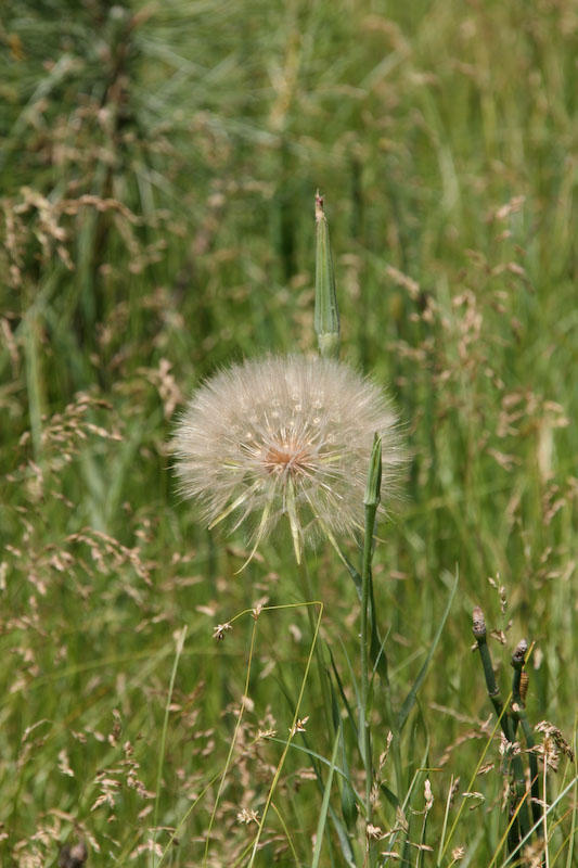 nil